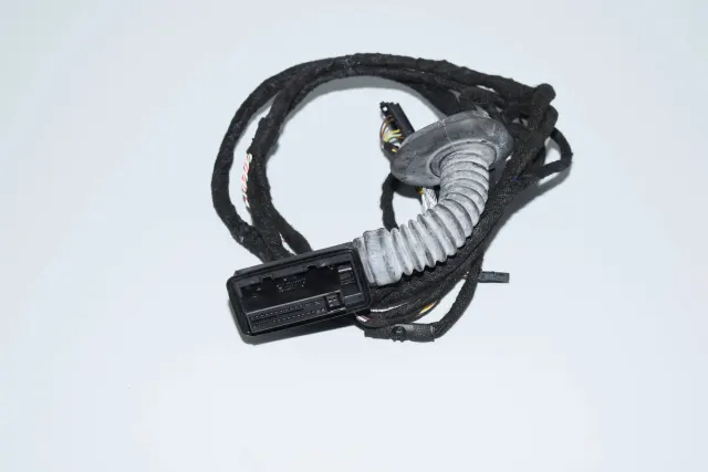 Rear Right Door Wiring