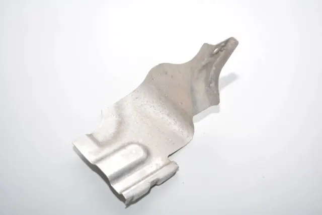 Other Body Parts