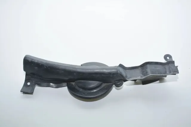 Other Body Parts