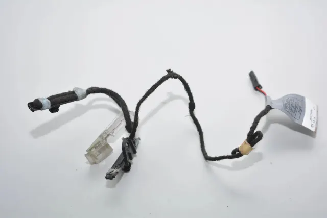 Rear Left Door Handle Light