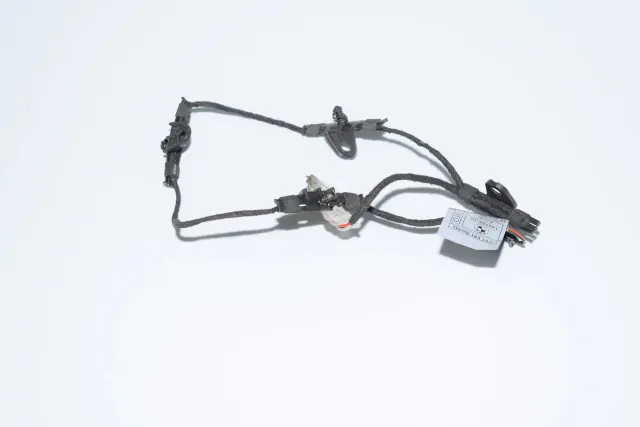 Front Right Door Handle Light