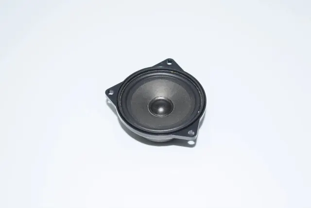 Rear Left Door Speaker