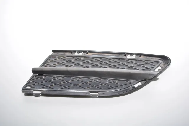 Front Left Grill
