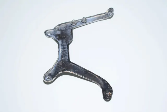 Other Body Parts
