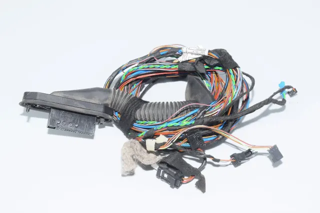 Rear Left Door Wiring