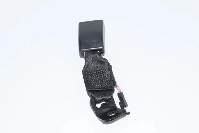 Rear Left Seat Buckle