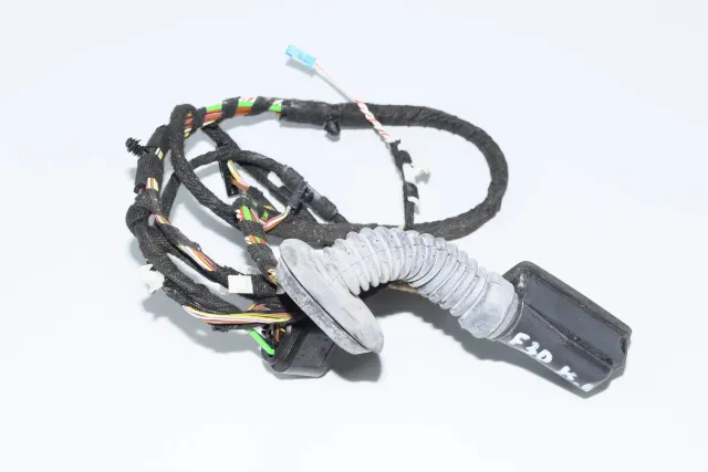 Rear Left Door Wiring
