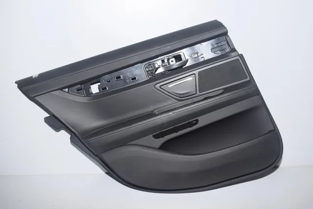 Rear Left Door Panel