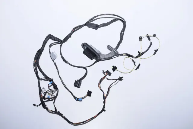 Front Right Door Wiring