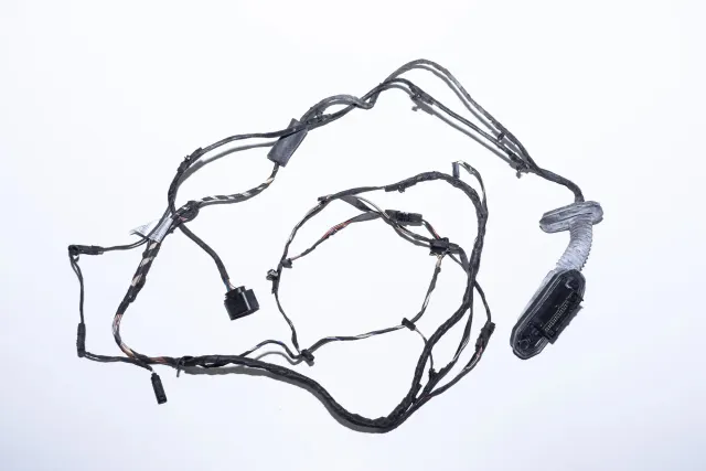 Rear Right Door Wiring