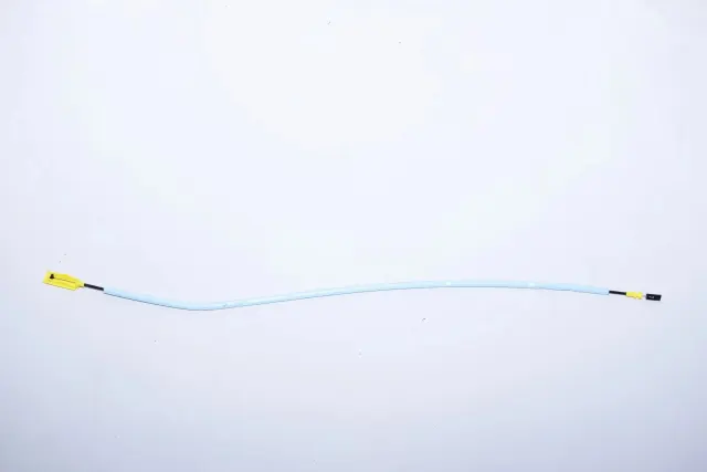 Other Body Parts