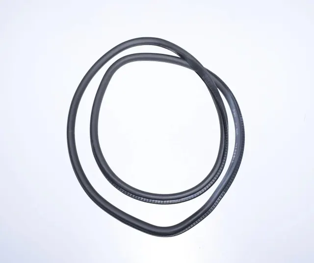 Rear Right Door Seal Rubber