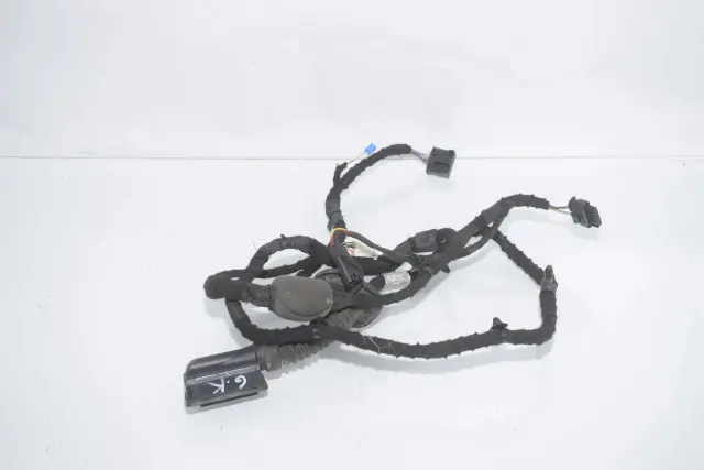 Rear Left Door Wiring