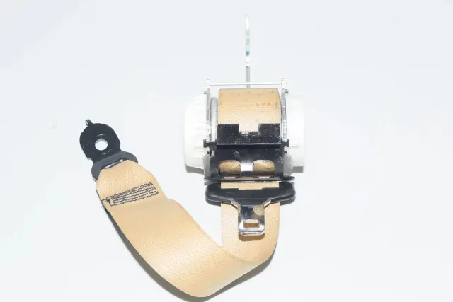 Rear Right Seatbelt