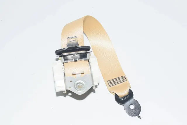 Rear Middle Seatbelt