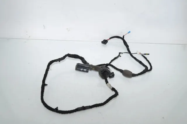 Rear Right Door Wiring