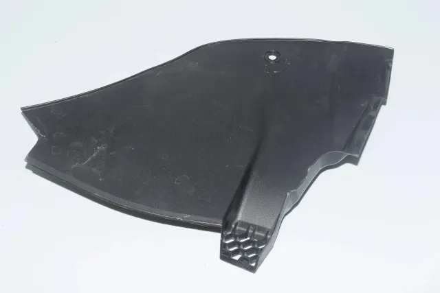 Other Body Parts