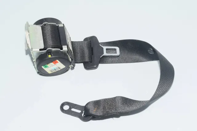 Rear Left Seatbelt