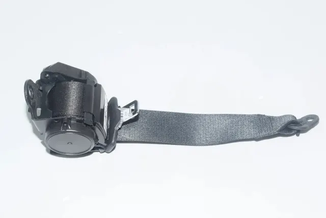 Rear Left Seatbelt
