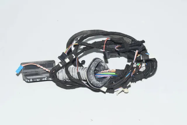 Rear Left Door Wiring