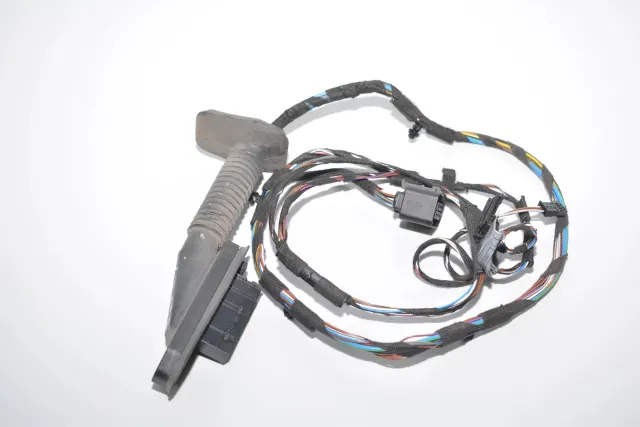 Rear Left Door Wiring