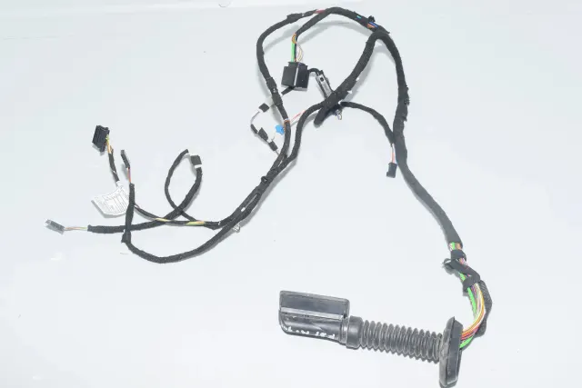 Rear Left Door Wiring