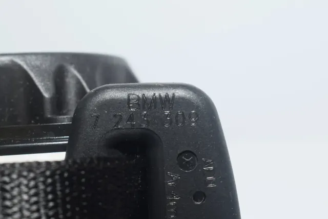 Rear Right Seatbelt