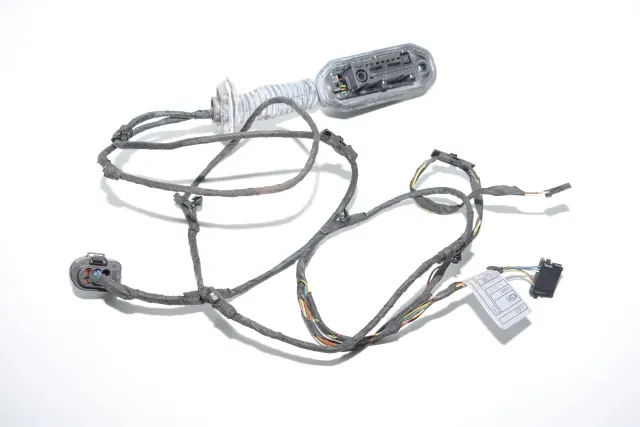 Rear Left Door Wiring