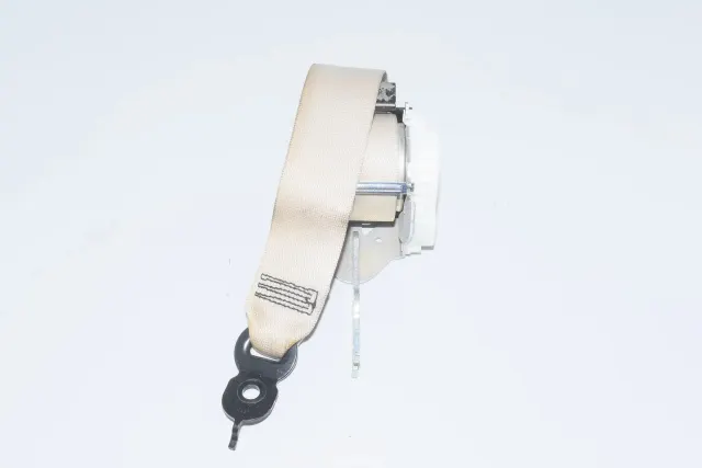 Rear Left Seatbelt