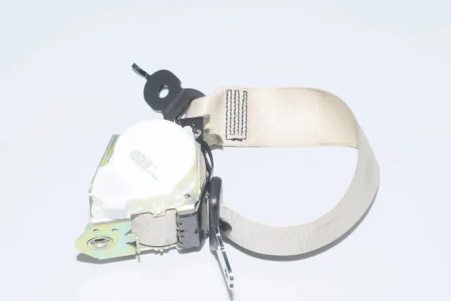 Rear Middle Seatbelt