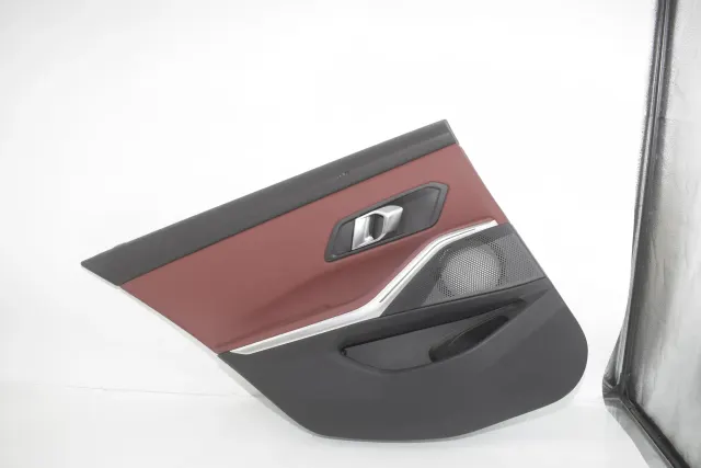 Rear Left Door Panel