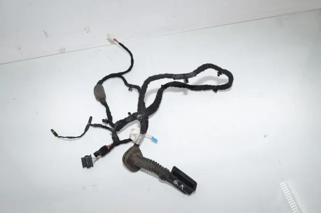 Rear Left Door Wiring