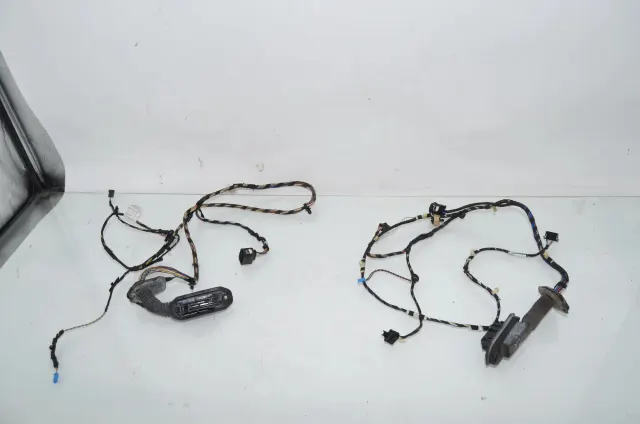 Rear Left Door Wiring