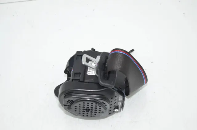 Rear Left Seatbelt