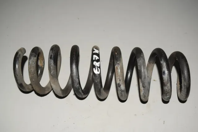 Rear Left Coil Spring