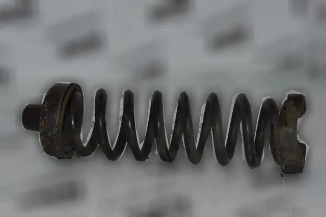 Rear Left Coil Spring