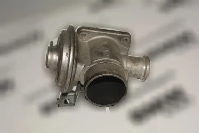 EGR Valve