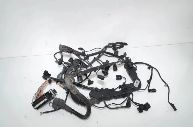 Engine Cable Harness