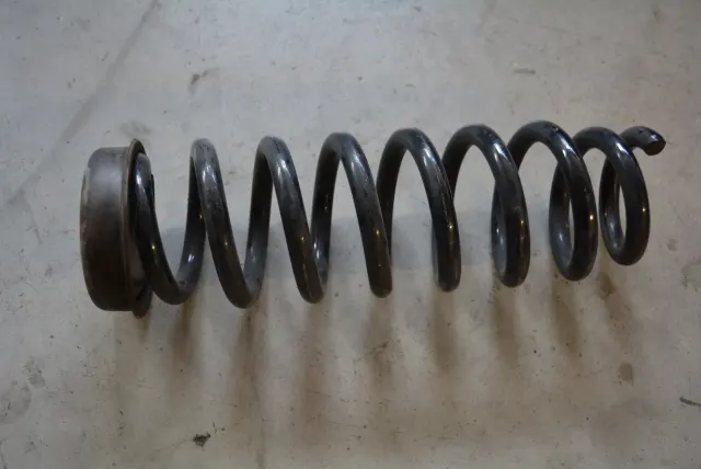 Rear Left Coil Spring