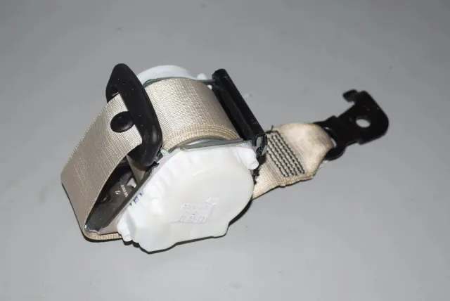 Rear Left Seatbelt