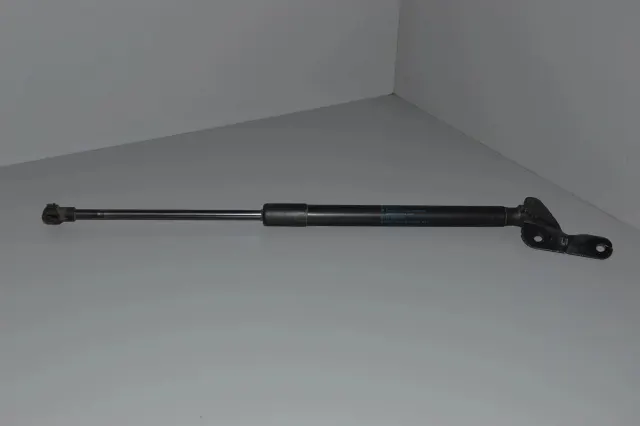 Left Side Tailgate Gas Strut