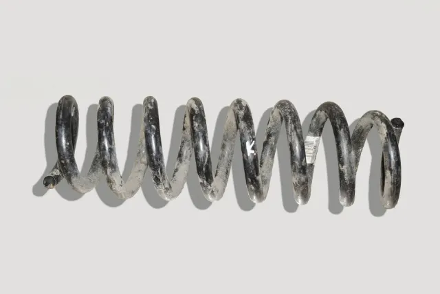 Rear Left Coil Spring