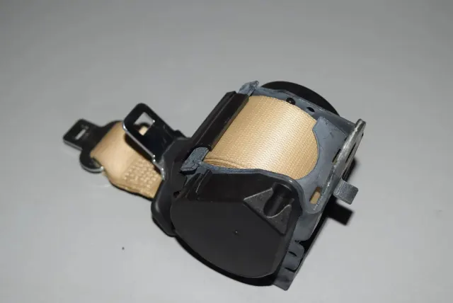 Rear Right Seatbelt