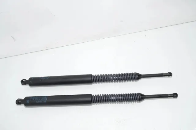 Right Side Tailgate Gas Strut