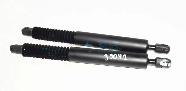 Left Side Tailgate Gas Strut