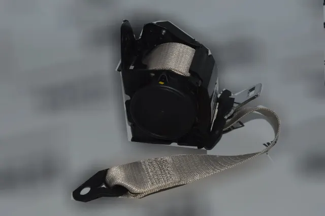 Rear Right Seatbelt