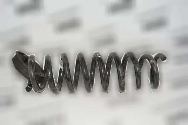 Rear Left Coil Spring