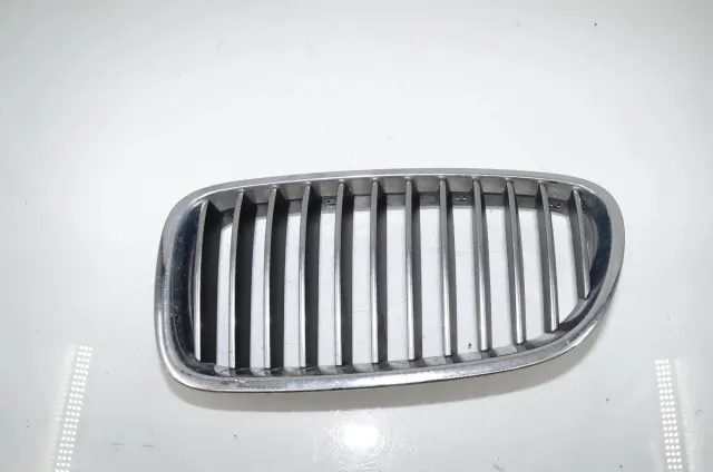 Front Left Grill