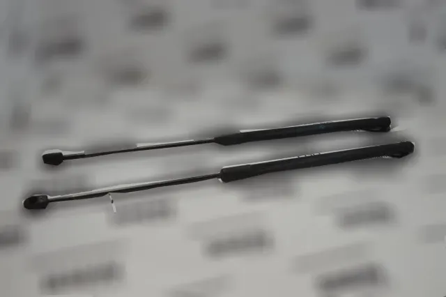 Right Side Tailgate Gas Strut