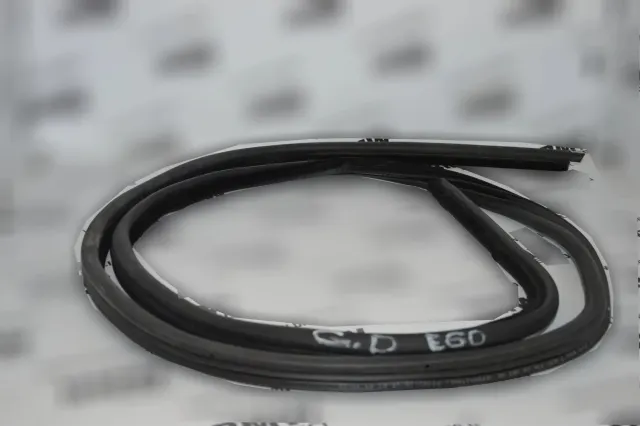 Rear Right Door Seal Rubber
